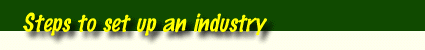 steps to setup an industry